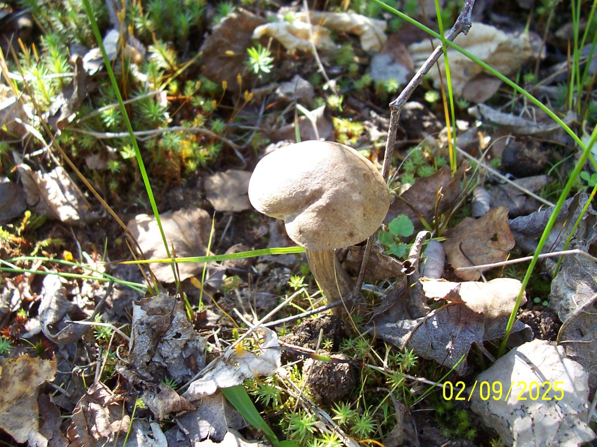 100_5539.JPG