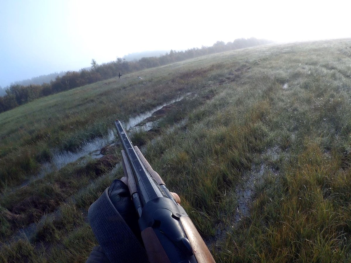 Добыл.MP4_snapshot_00.31_[2025.09.06_14.18.05].jpg