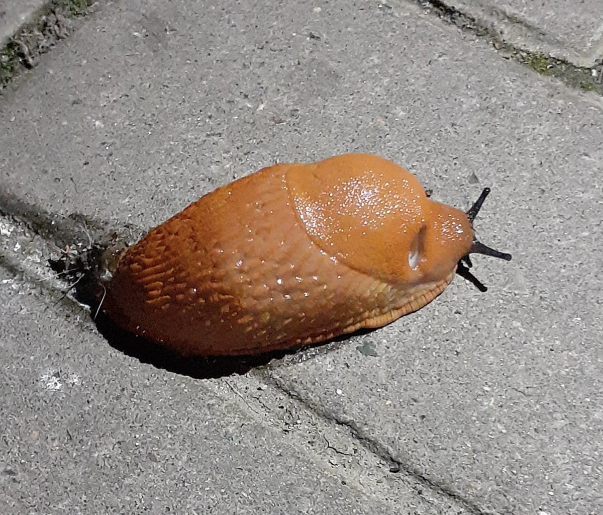 20250907_211244.jpg