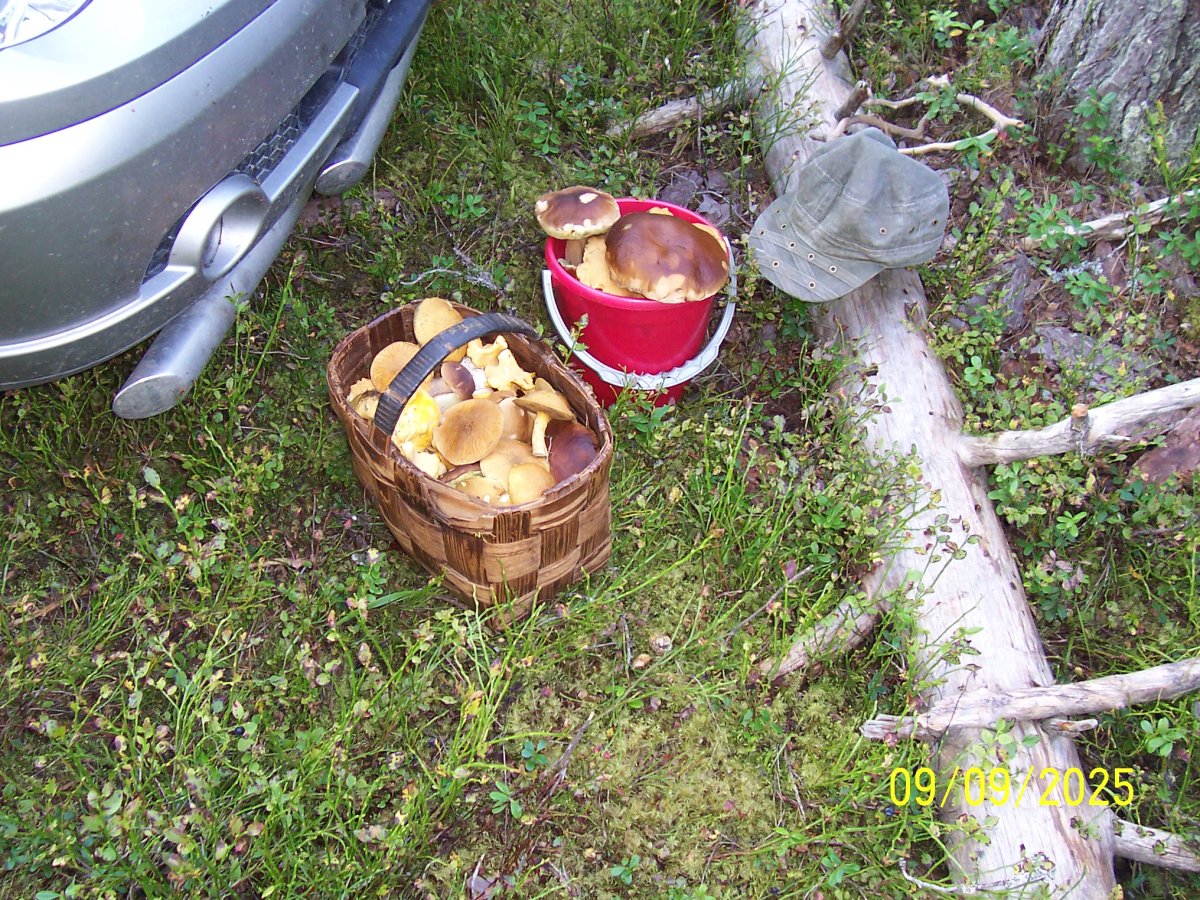 100_5560.JPG