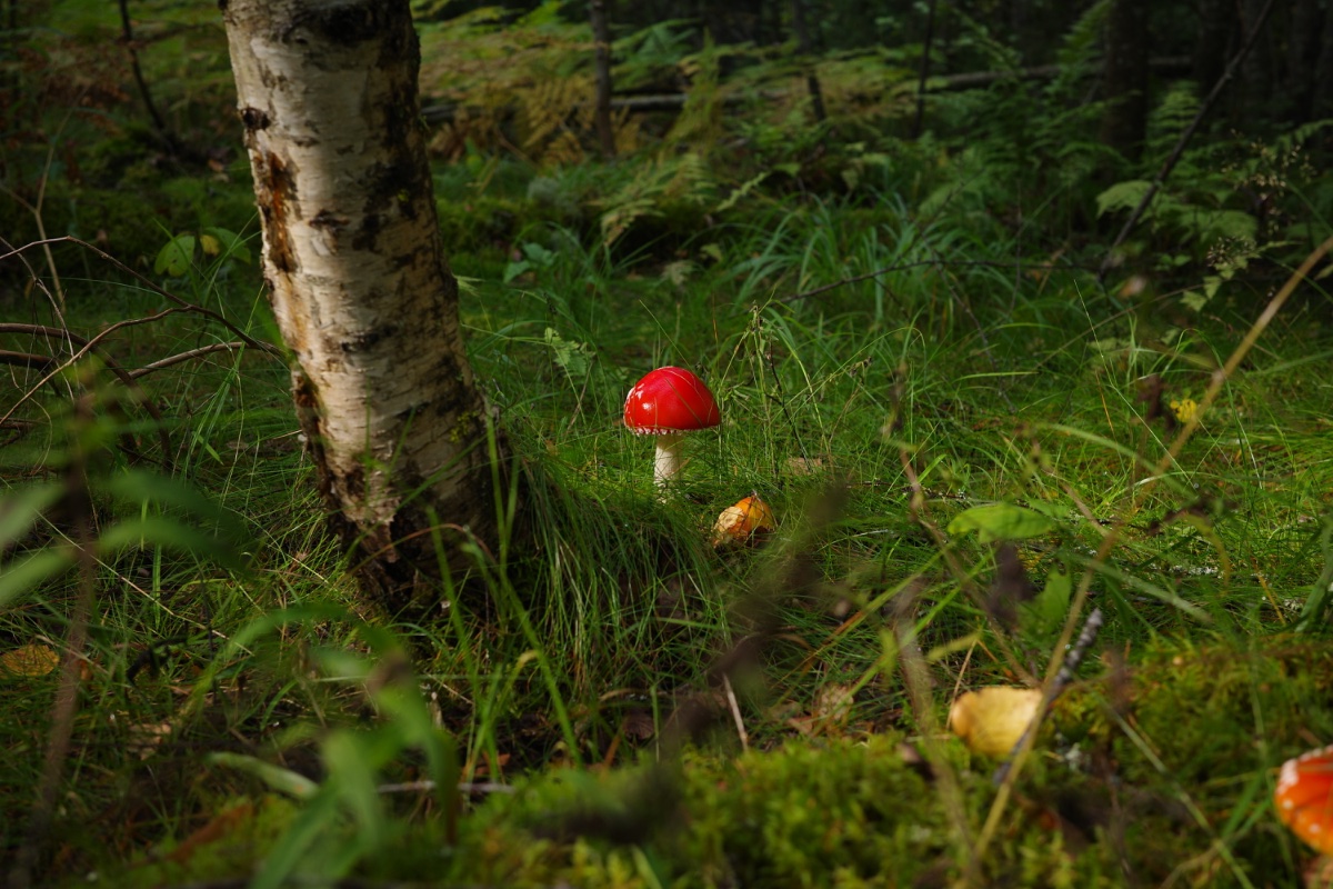 R0000297.JPG
