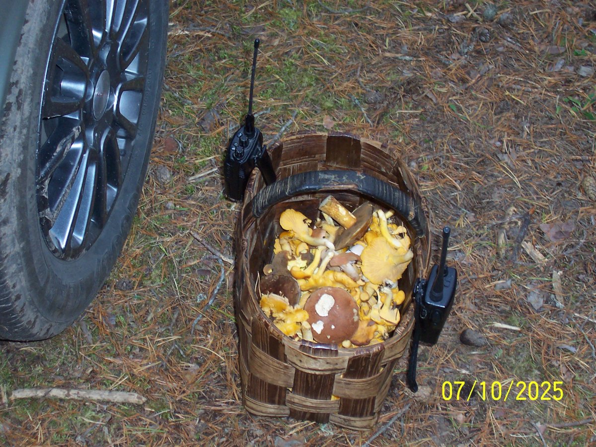 100_5570.JPG