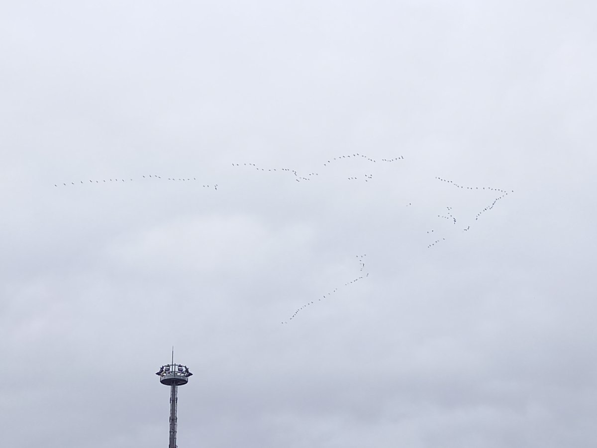 20251009_142325.jpg