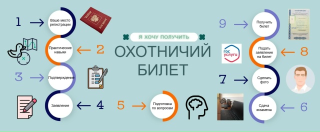 как получить охотничий билет.jpg