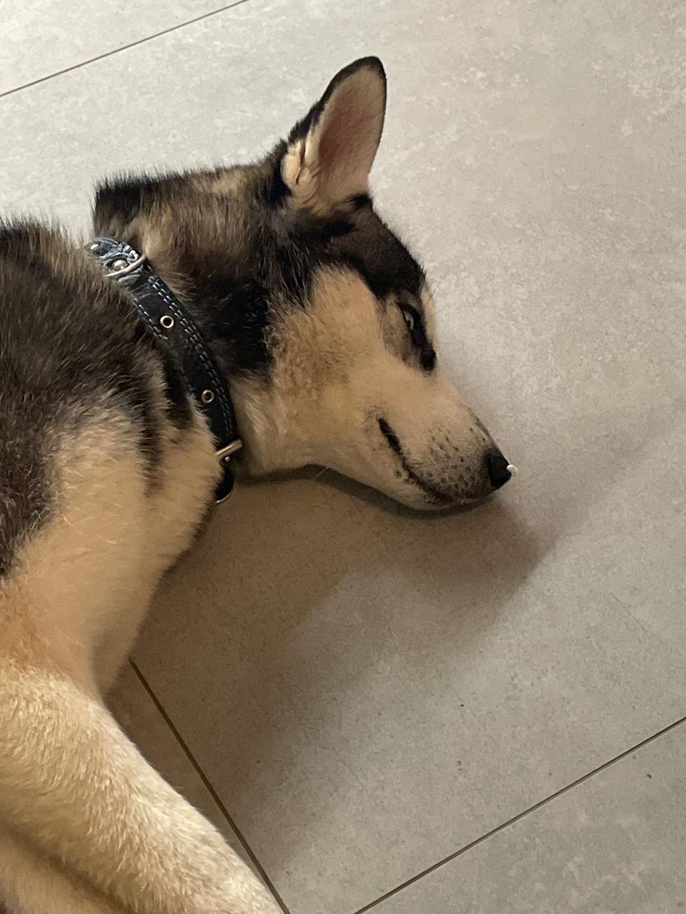 WhatsApp Image 2025-12-02 at 20.30.16 (3).jpeg