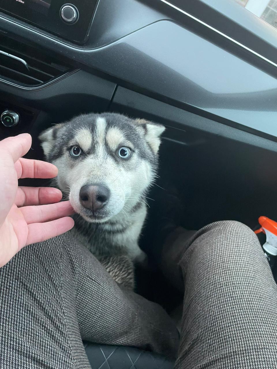 WhatsApp Image 2025-12-02 at 20.30.16 (2).jpeg