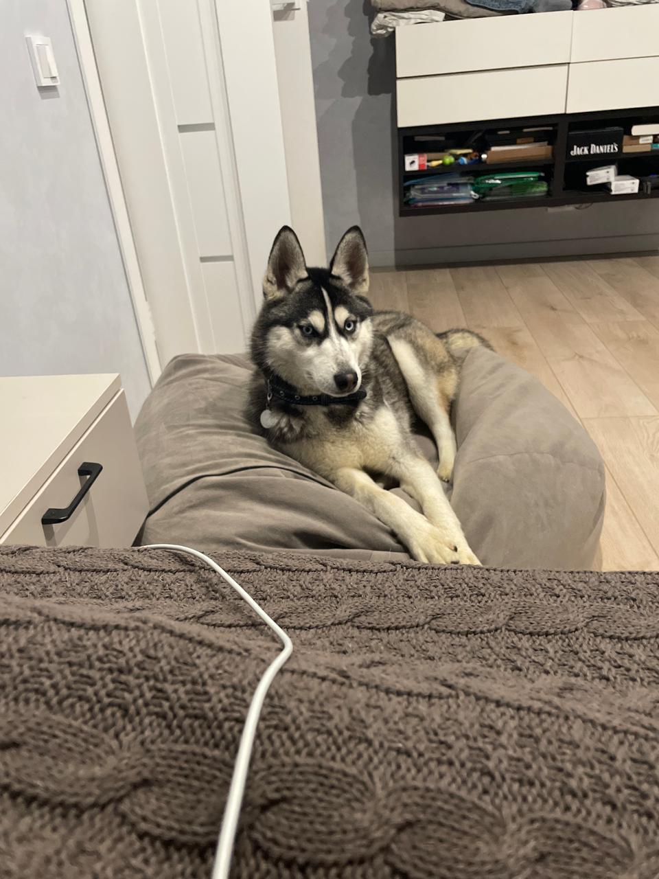 WhatsApp Image 2025-12-02 at 20.30.16 (1).jpeg