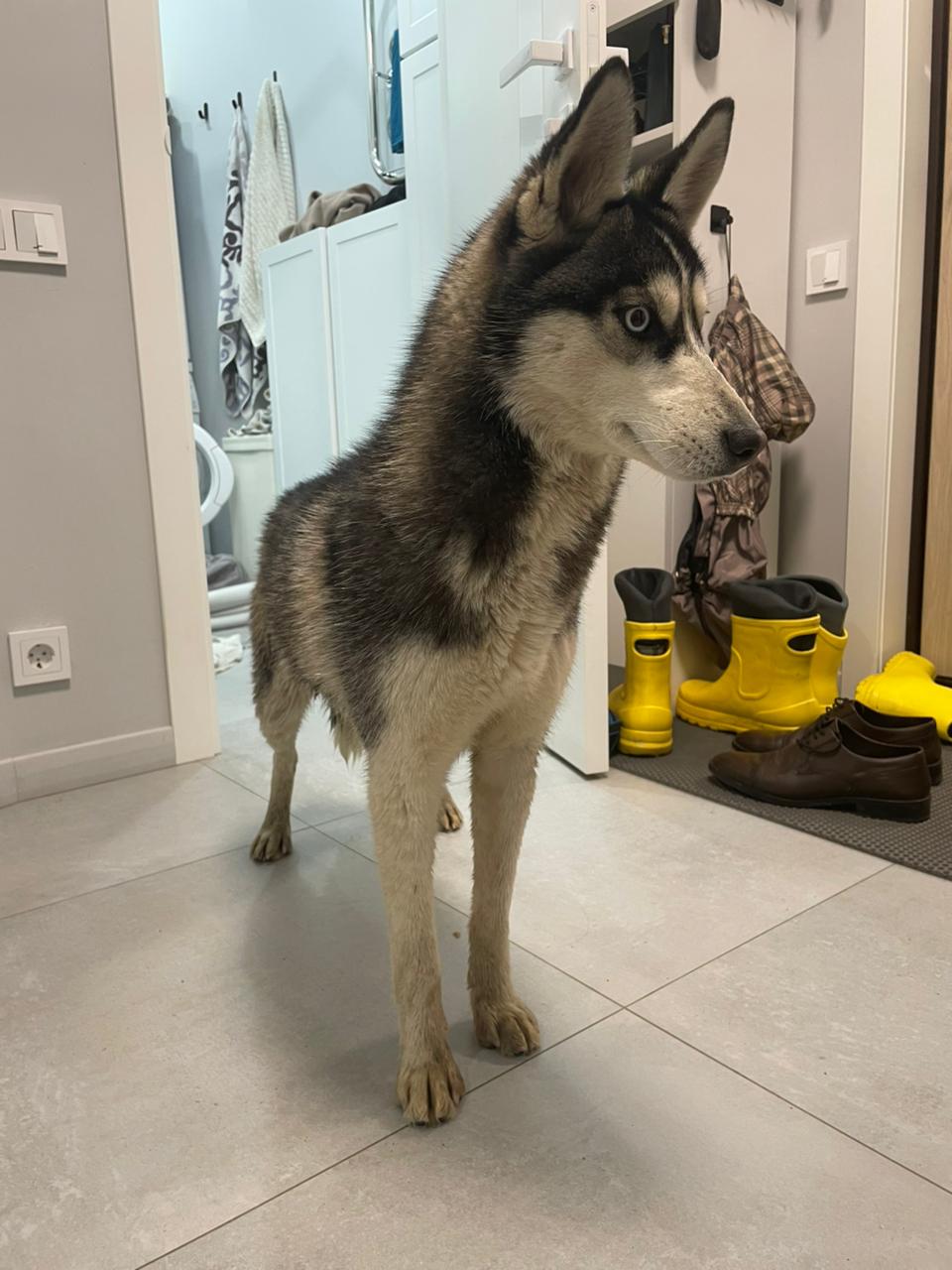 WhatsApp Image 2025-12-02 at 20.30.16.jpeg