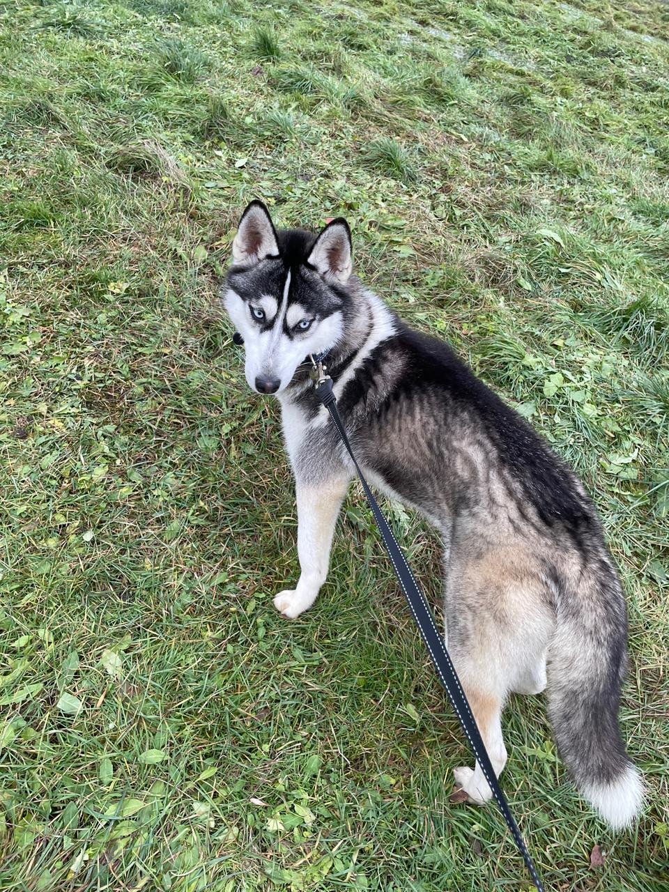 WhatsApp Image 2025-12-02 at 20.30.15.jpeg