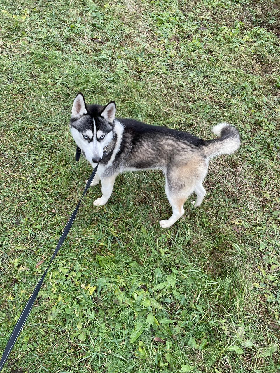 WhatsApp Image 2025-12-02 at 20.30.14.jpeg