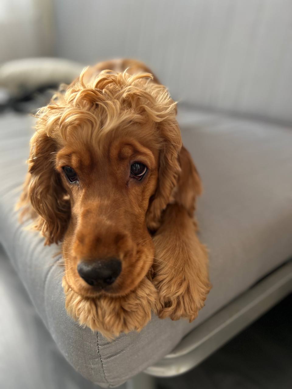 photo_2025-12-03_16-57-36 (2).jpg