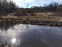 image-2.jpg image-2.jpg