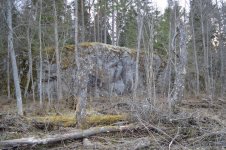 DSC_0692.jpg DSC_0692.jpg