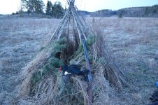 DSC_0734.jpg DSC_0734.jpg
