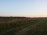 20140804_214903.jpg 20140804_214903.jpg