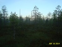 DSC00825.jpg DSC00825.jpg