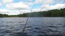 20140823_153721.jpg 20140823_153721.jpg