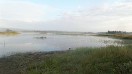 20140824_071510.jpg 20140824_071510.jpg