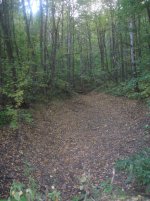 IMG_2751.jpg IMG_2751.jpg