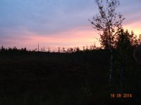 DSC00502.jpg DSC00502.jpg