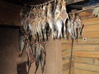 IMG_2717.jpg IMG_2717.jpg
