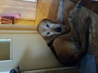 20141020_150427.jpg