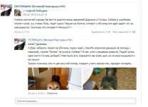 Безымя.jpg