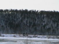 IMGA0785.JPG IMGA0785.JPG