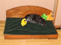 IMG_3572.JPG IMG_3572.JPG