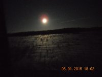 DSCN4504.jpg DSCN4504.jpg