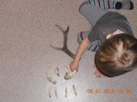 DSCN4522.jpg DSCN4522.jpg