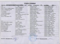 родословная 001.jpg родословная 001.jpg