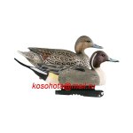 0002824_life-size-pintails.jpeg