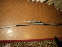 DSC01795.jpg
