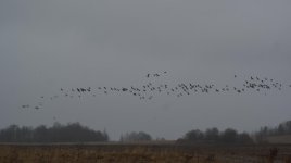 DSC01465.jpg DSC01465.jpg