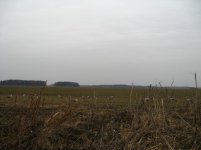 Поле 2го утра.jpg Поле 2го утра.jpg