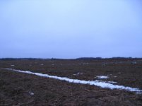 Поле 4го утра.jpg Поле 4го утра.jpg