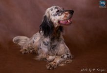 phoca_thumb_l_nika-96.jpg phoca_thumb_l_nika-96.jpg