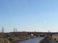 IMG_1198.jpg IMG_1198.jpg