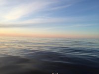 IMG_1275.jpg IMG_1275.jpg