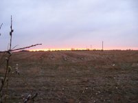 На рассвете в по&#.jpg На рассвете в по&#.jpg