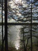 IMG_0567.jpg IMG_0567.jpg