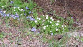 20150506_153019.jpg 20150506_153019.jpg