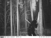 Trail Camera 7052015 062.jpg