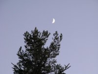 IMG_1522.jpg IMG_1522.jpg