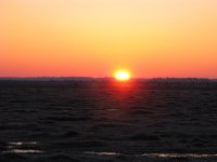 IMG_1525.jpg IMG_1525.jpg