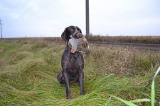 DSC_0235.JPG DSC_0235.JPG