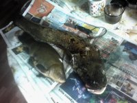 IMG0051A.jpg IMG0051A.jpg