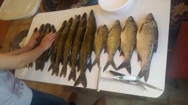 20150830_105924.jpg 20150830_105924.jpg