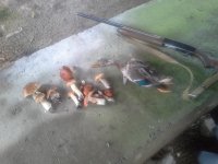 20151002_131400.jpg